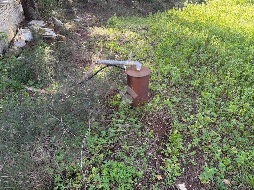 immagine annuncio 4 di 14