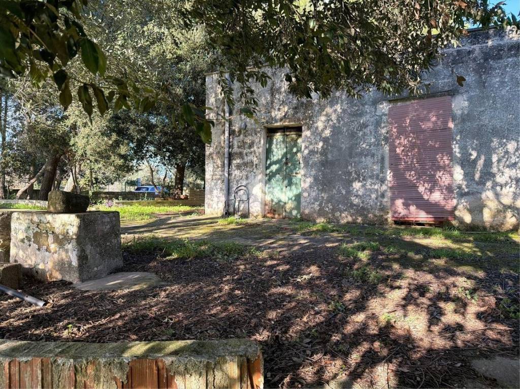 immagine annuncio 5 di 14