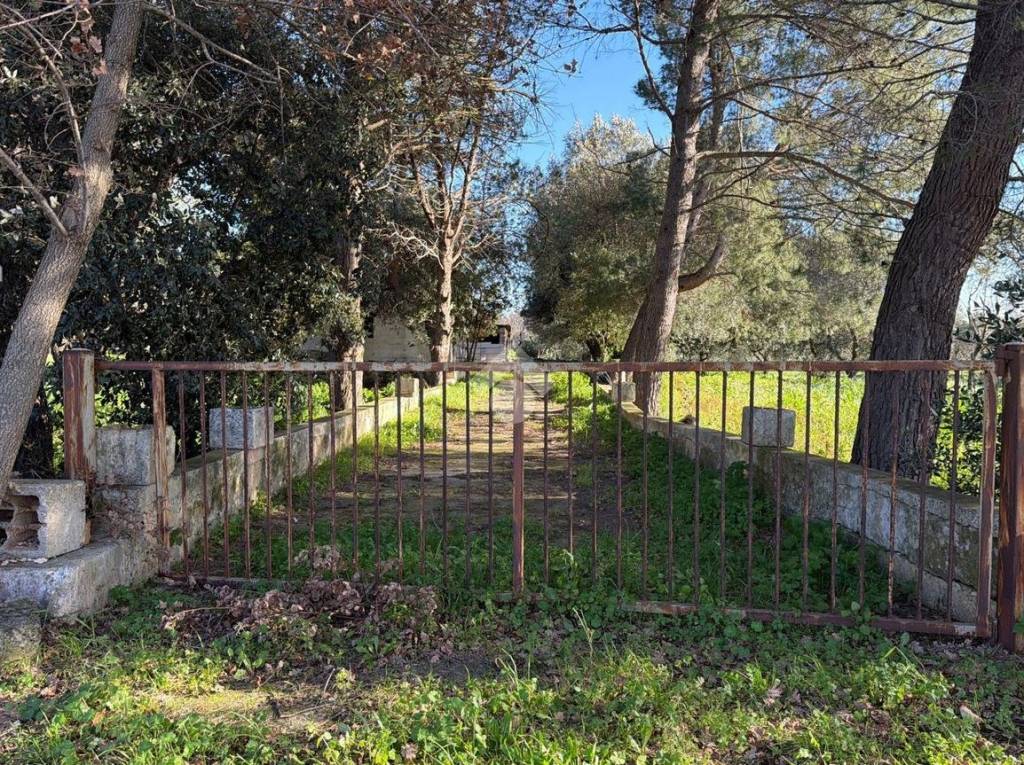 immagine annuncio 7 di 14