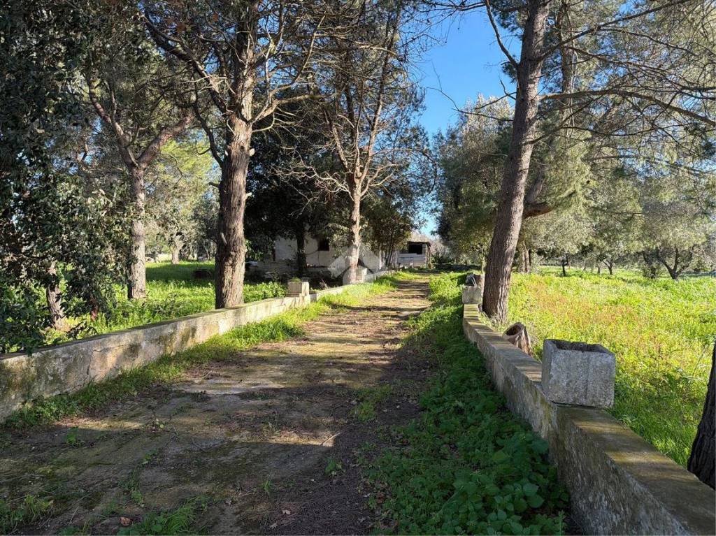 immagine annuncio 11 di 14