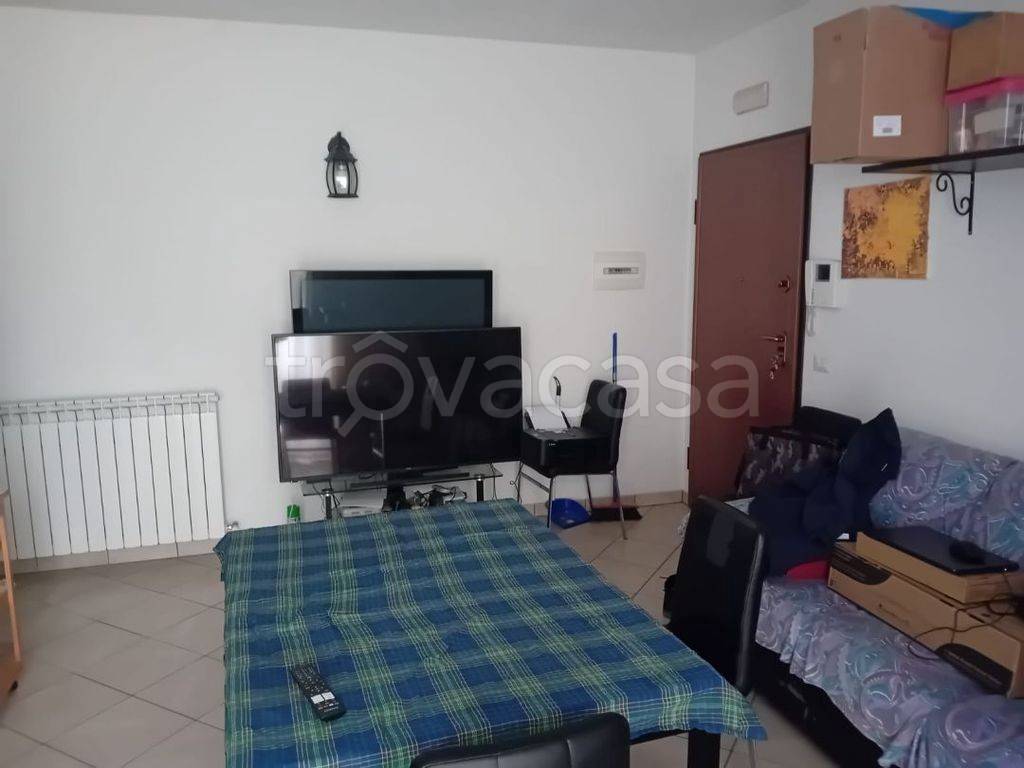 immagine annuncio 1 di 13