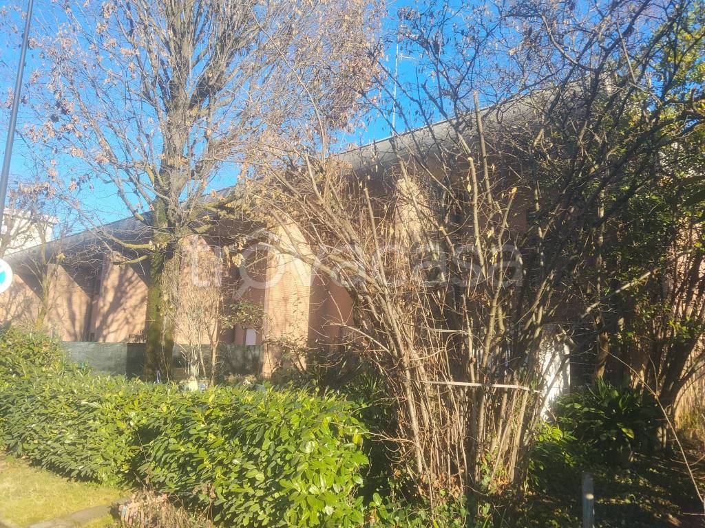 immagine annuncio 6 di 11