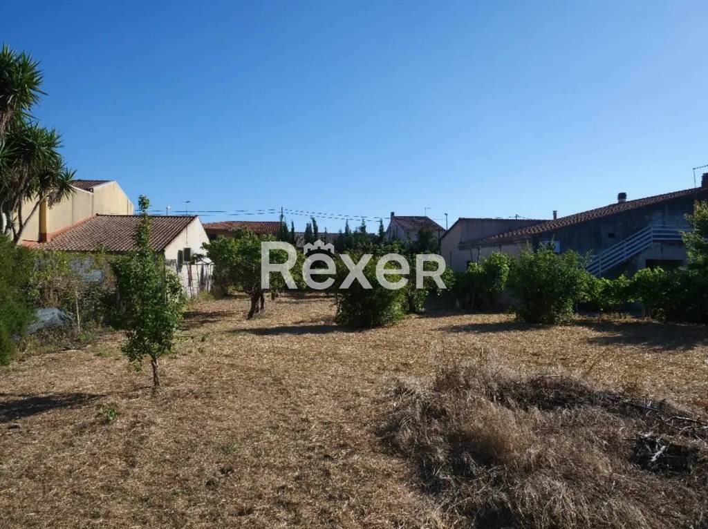 immagine annuncio 8 di 14