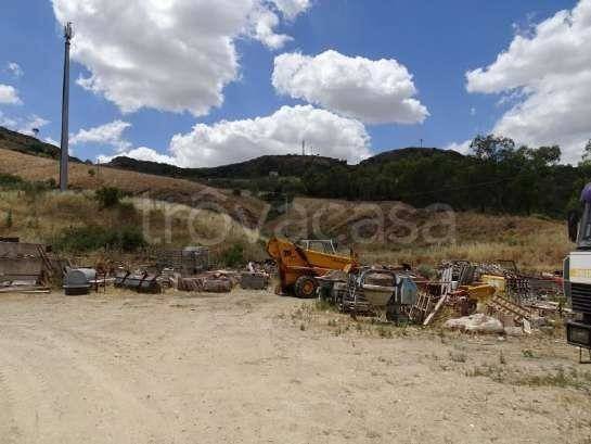 immagine annuncio 4 di 6