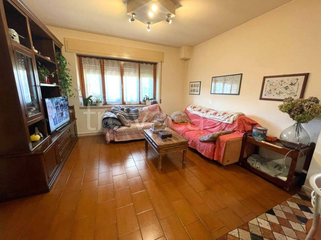 immagine annuncio 7 di 12