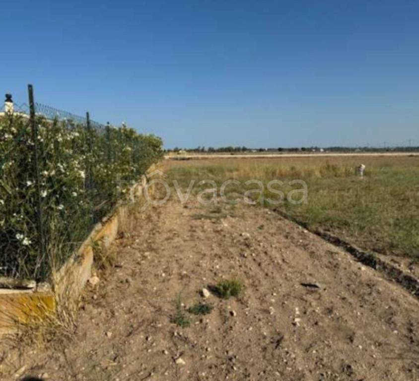 immagine annuncio 10 di 11