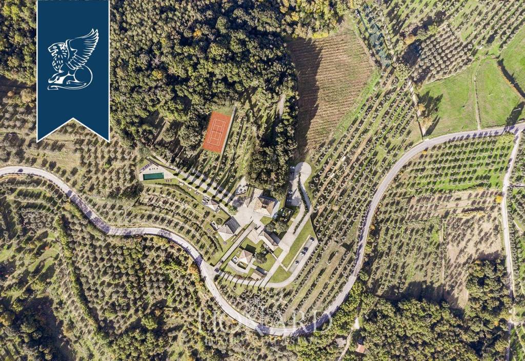 immagine annuncio 5 di 8