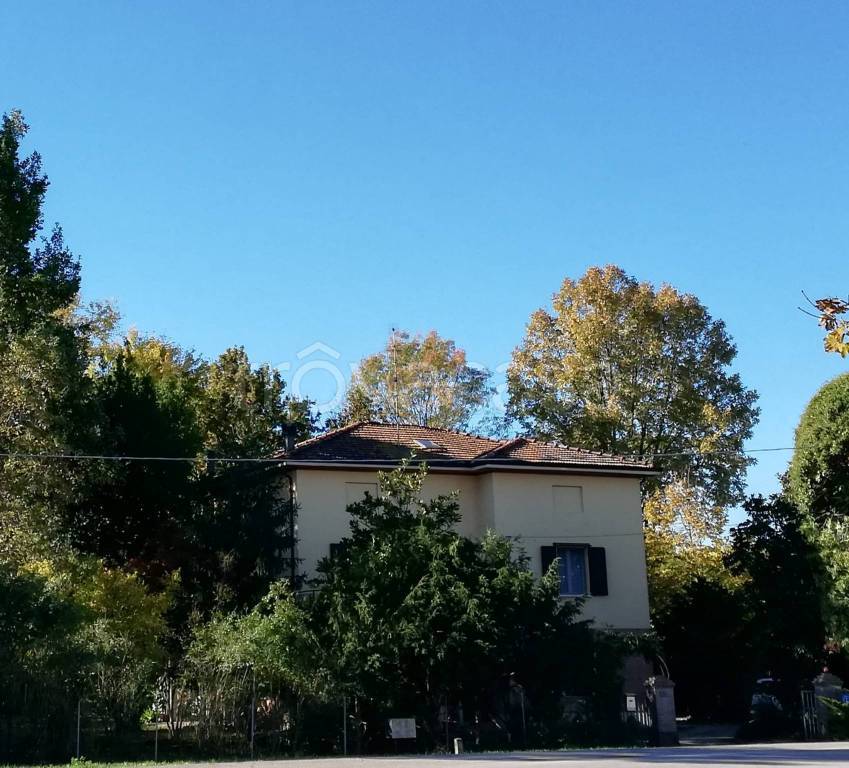 immagine annuncio 5 di 14