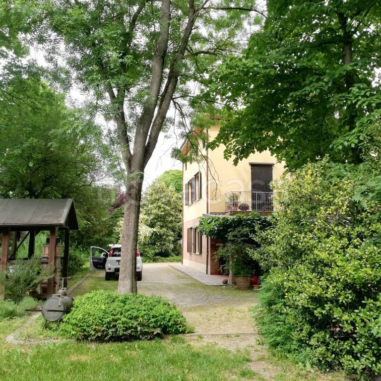 immagine annuncio 9 di 14