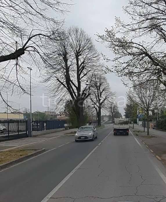 immagine annuncio 6 di 11