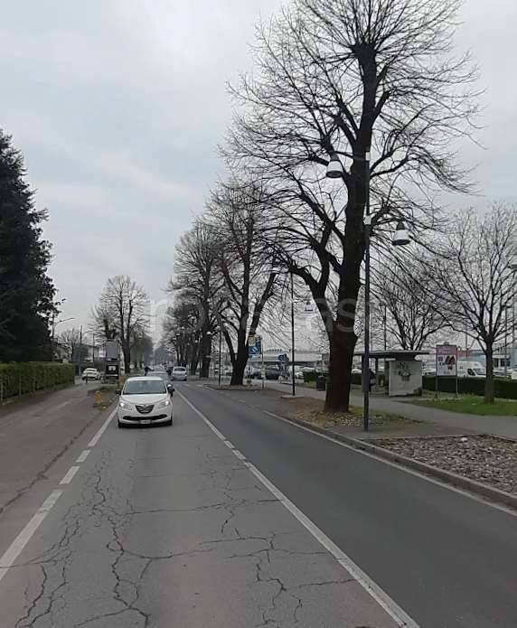 immagine annuncio 7 di 11