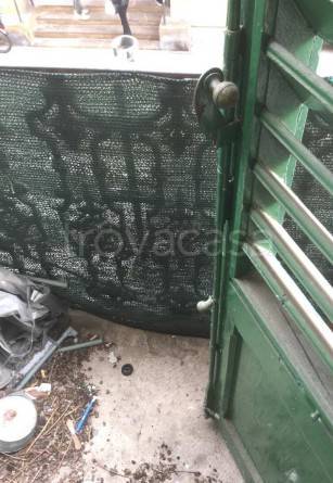 immagine annuncio 5 di 9