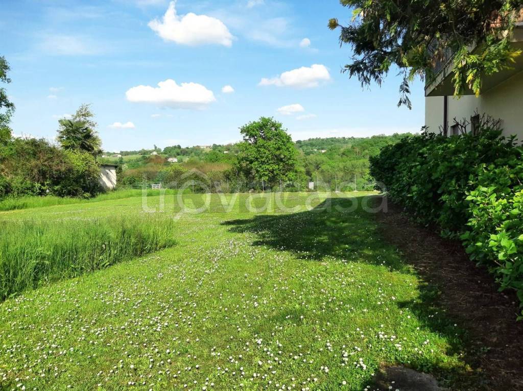 immagine annuncio 5 di 14