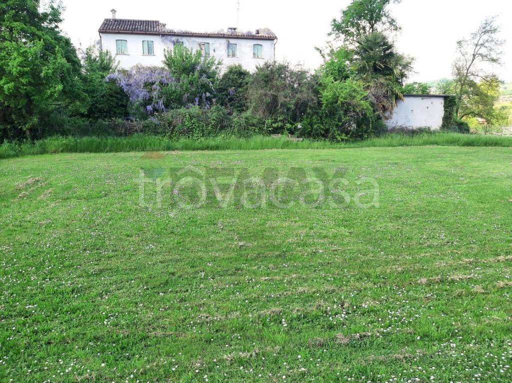 immagine annuncio 9 di 14