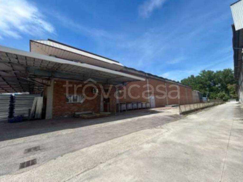 immagine annuncio 2 di 12