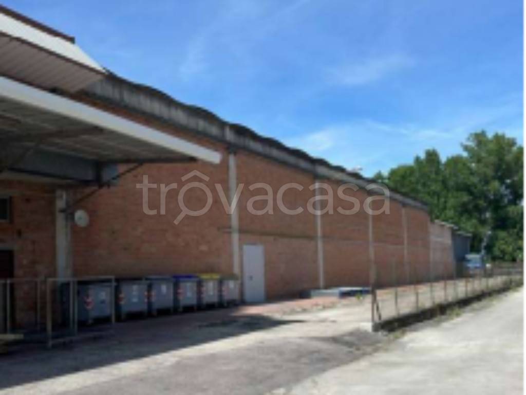 immagine annuncio 3 di 12