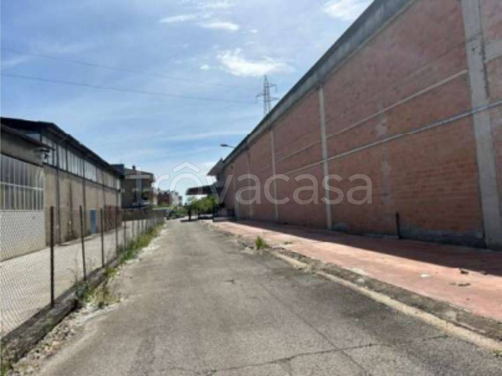 immagine annuncio 4 di 12