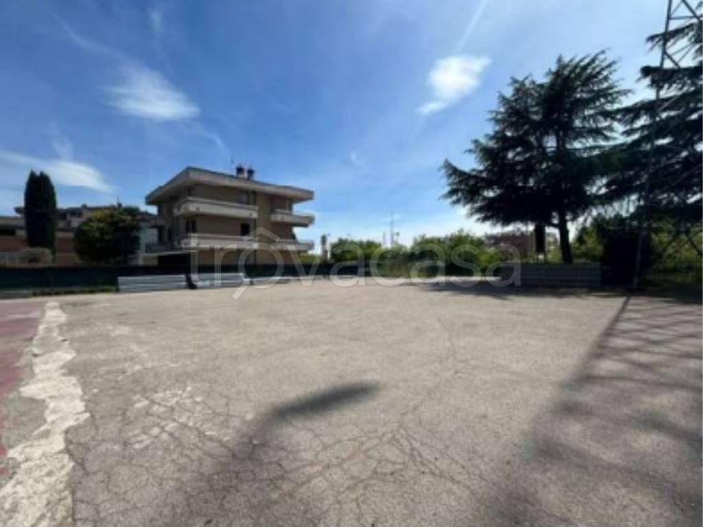 immagine annuncio 6 di 12