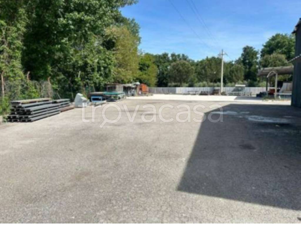 immagine annuncio 7 di 12