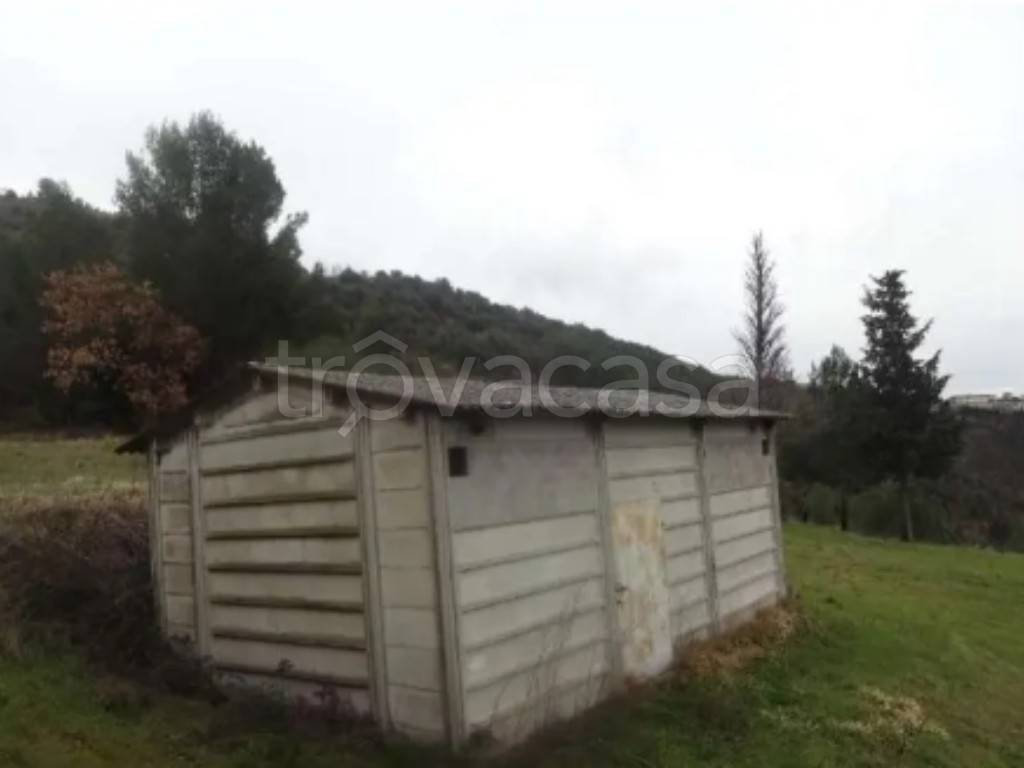 immagine annuncio 2 di 12