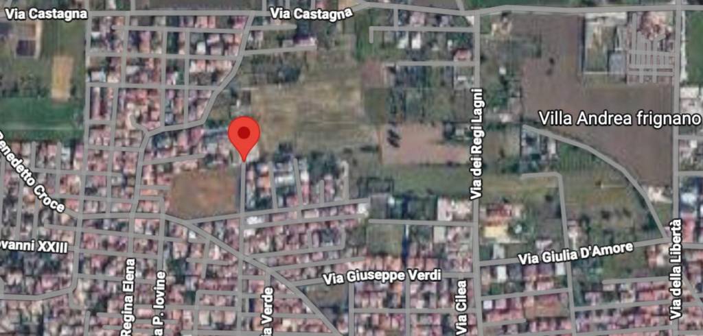 immagine annuncio 2 di 12