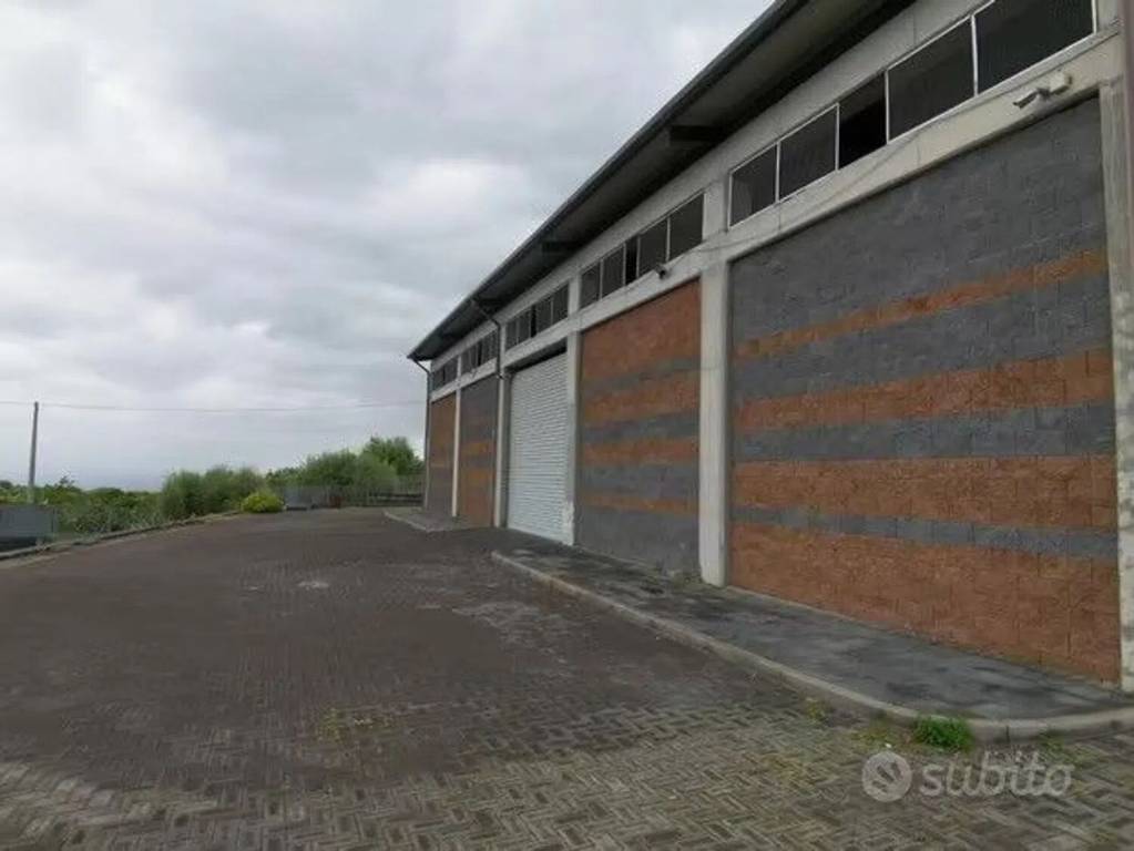 immagine annuncio 1 di 6