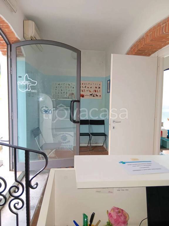 immagine annuncio 2 di 7