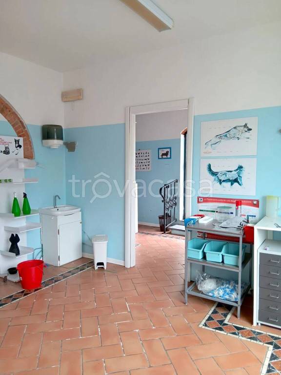 immagine annuncio 4 di 7