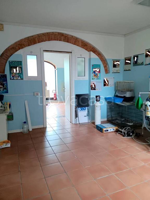 immagine annuncio 6 di 7