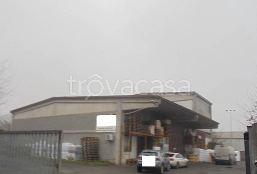 immagine annuncio 9 di 11