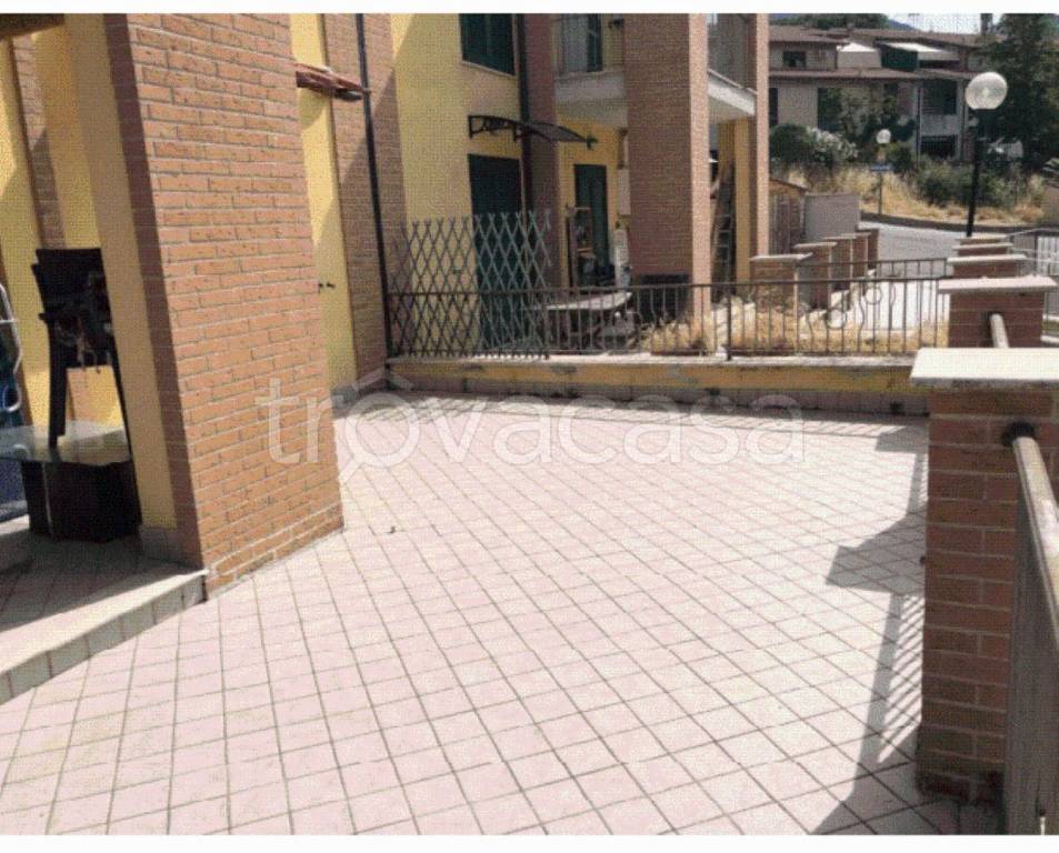 immagine annuncio 4 di 12