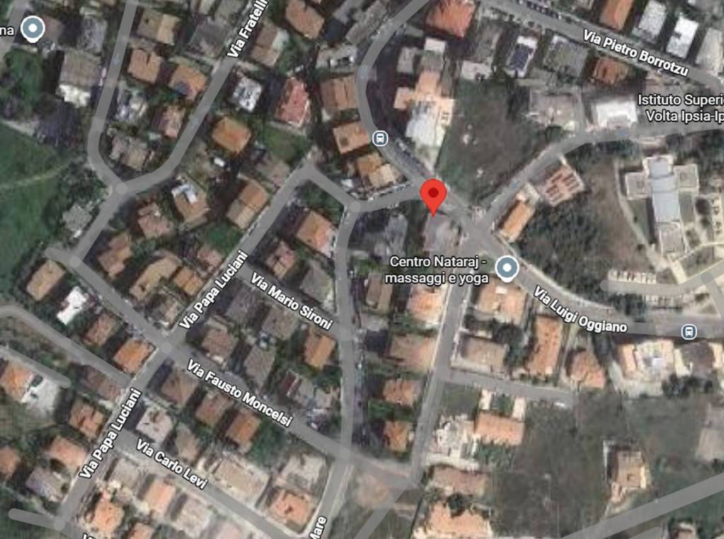 immagine annuncio 2 di 12