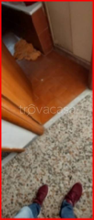 immagine annuncio 7 di 12