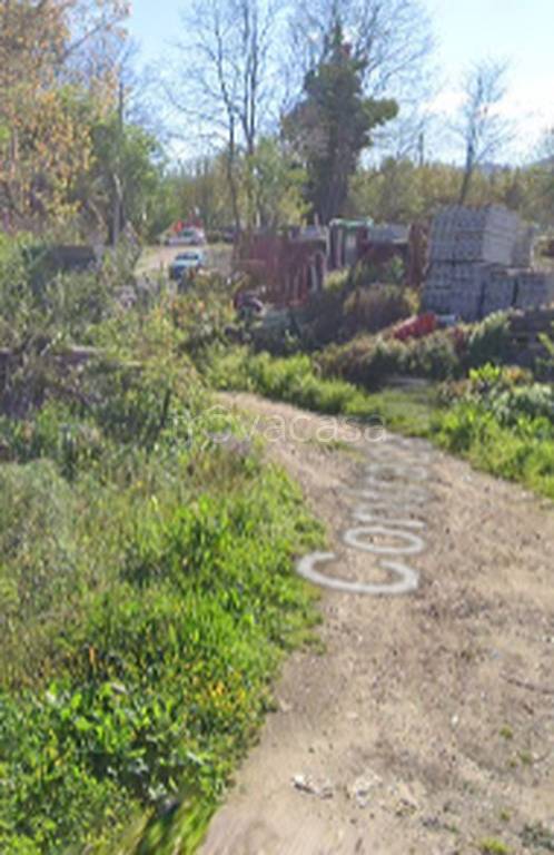 immagine annuncio 8 di 11