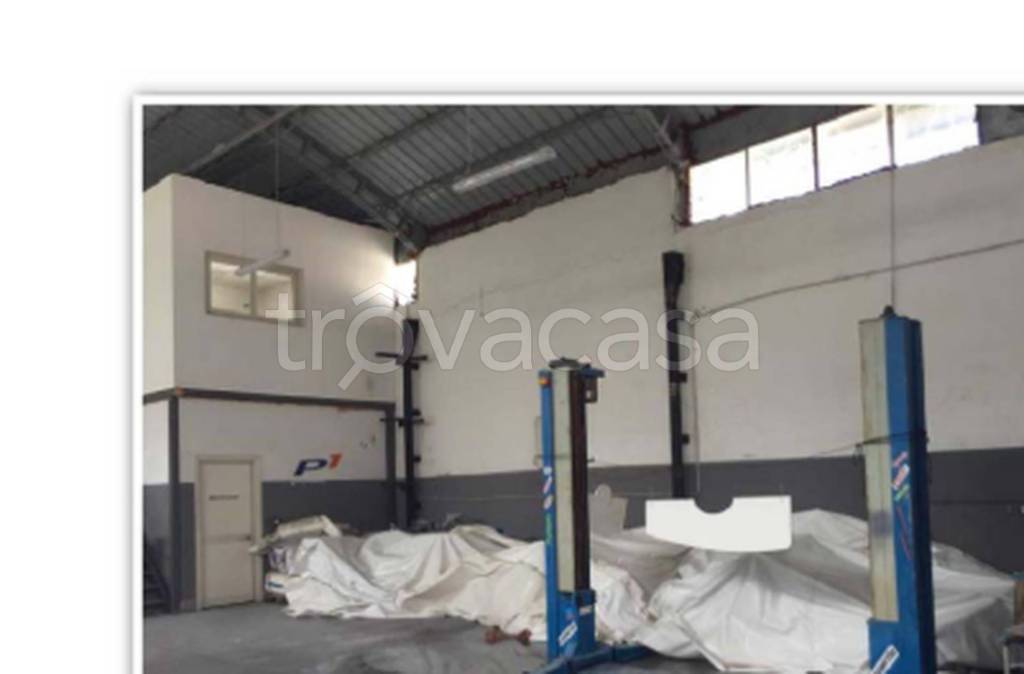 immagine annuncio 1 di 12