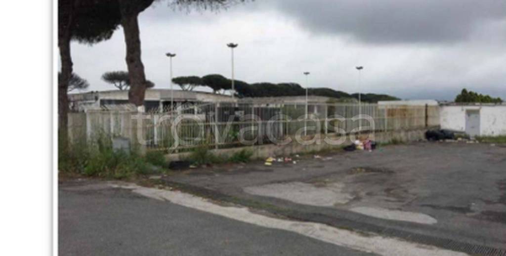 immagine annuncio 8 di 12