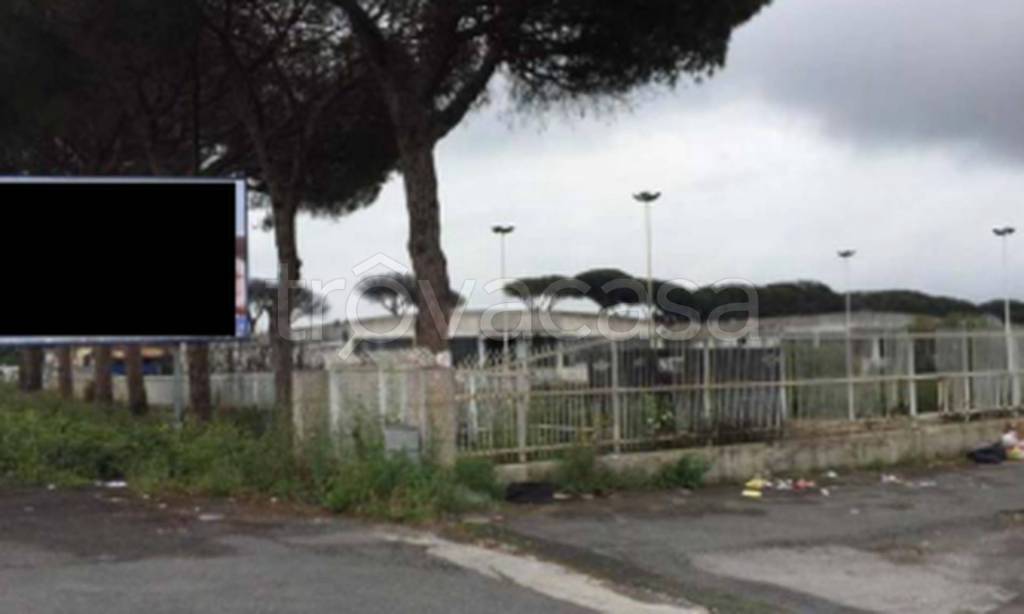 immagine annuncio 10 di 12