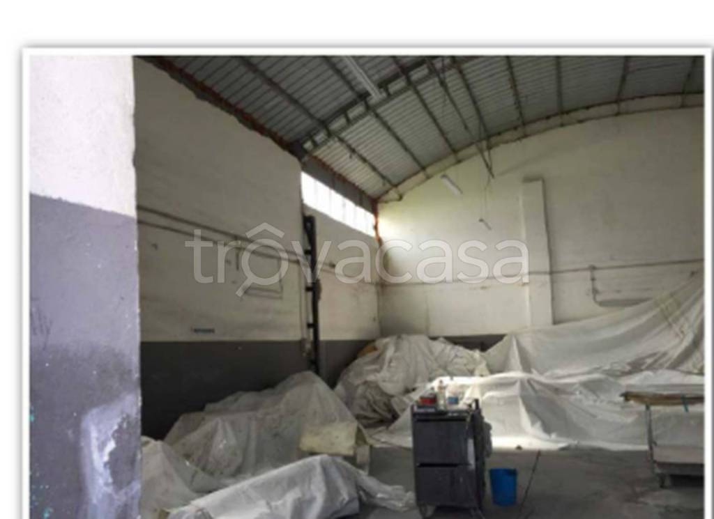 immagine annuncio 11 di 12