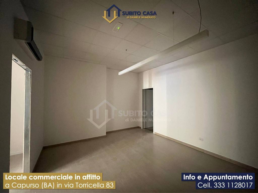 immagine annuncio 6 di 14