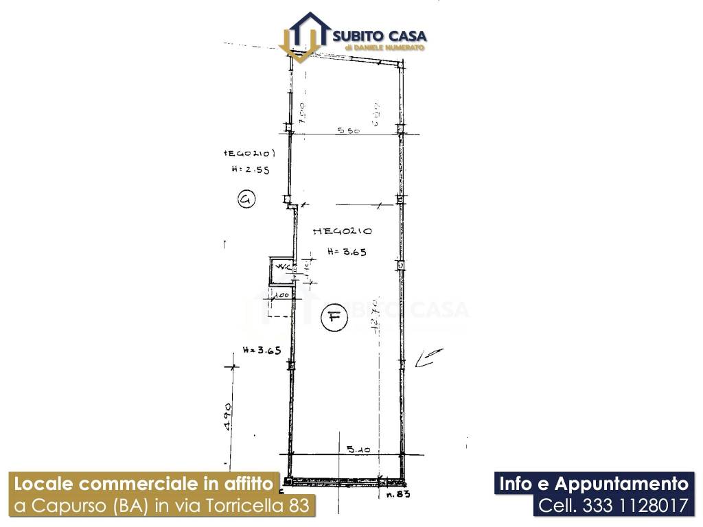 immagine annuncio 12 di 14