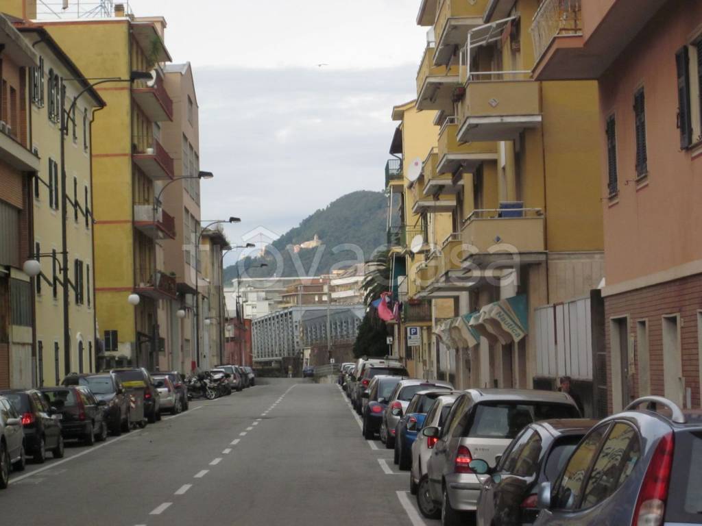 immagine annuncio 5 di 12