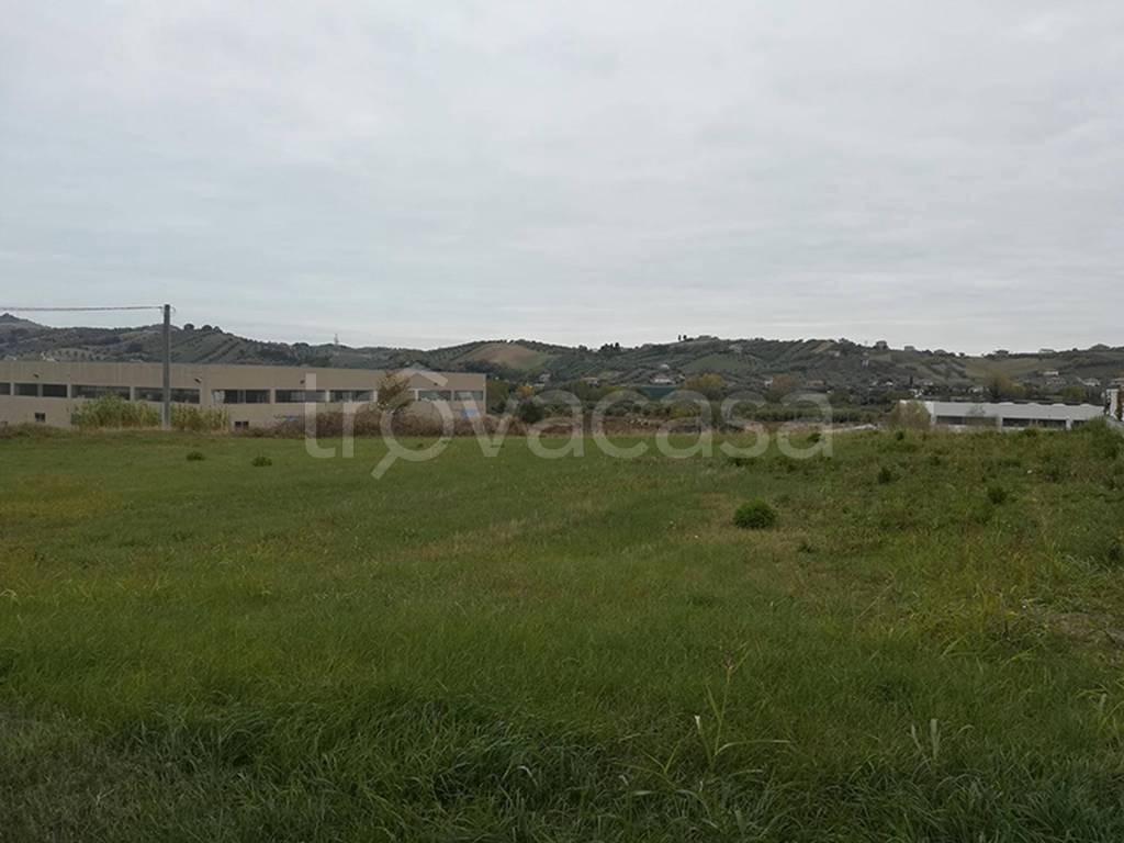 immagine annuncio 11 di 12