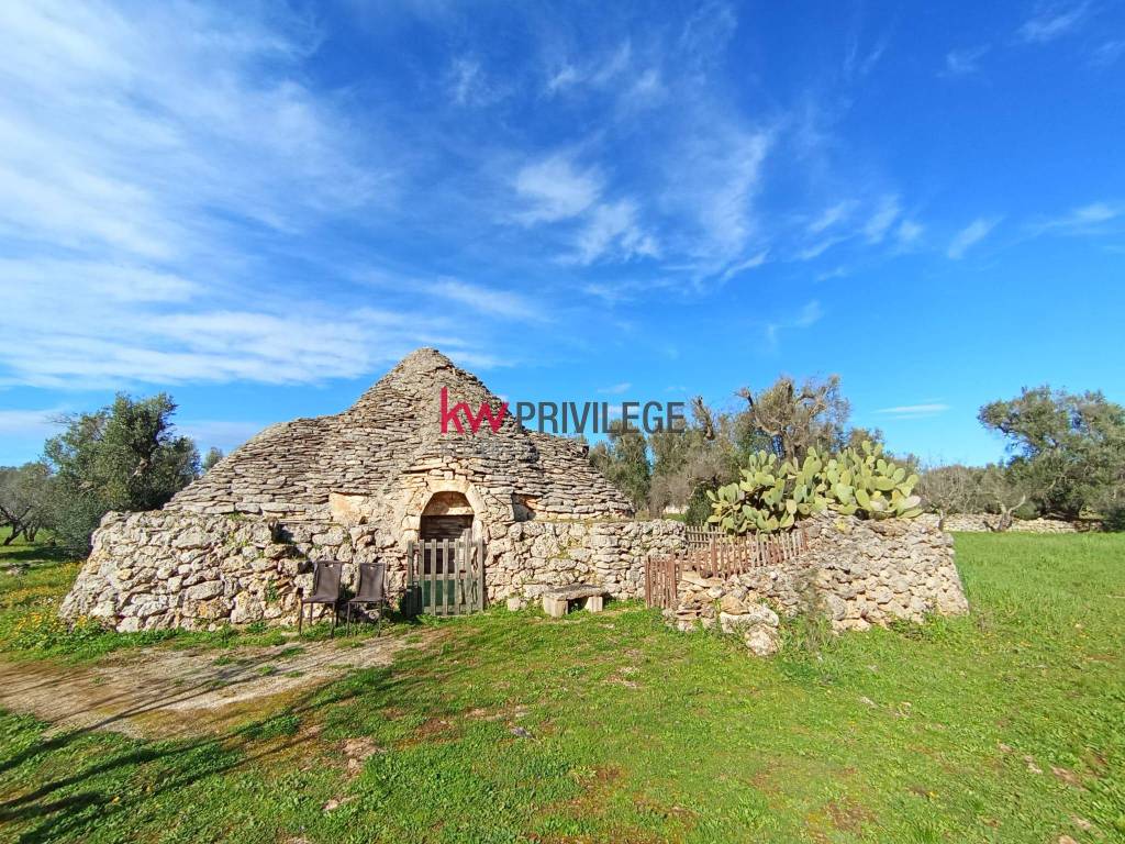 immagine annuncio 5 di 12