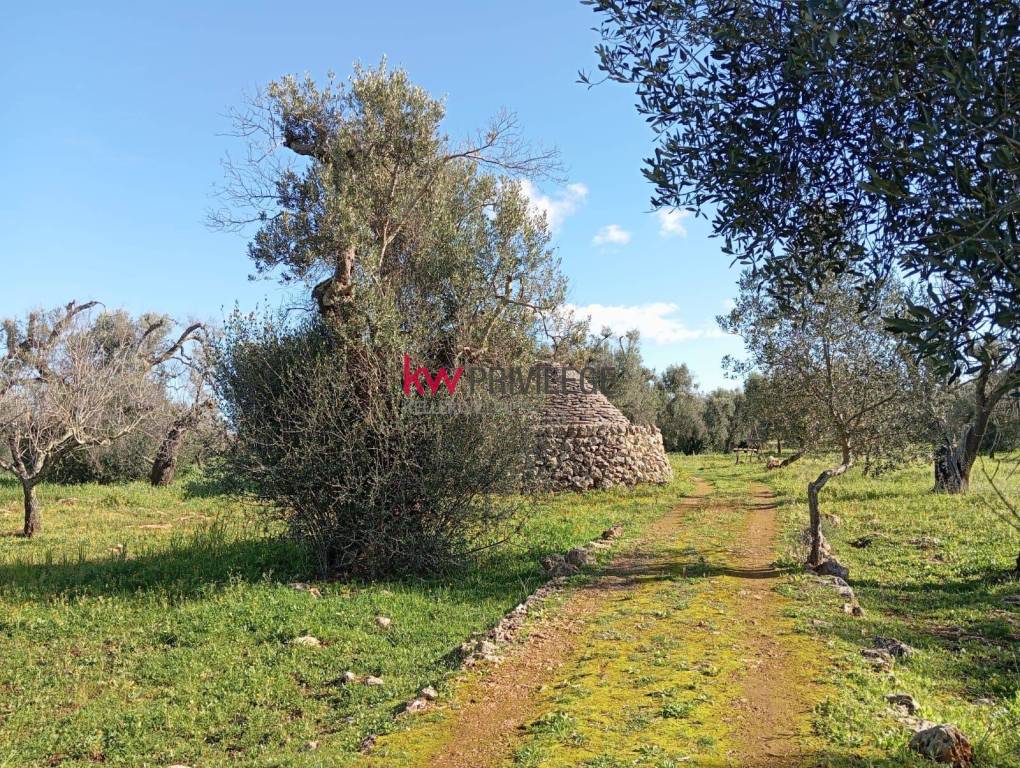 immagine annuncio 10 di 12