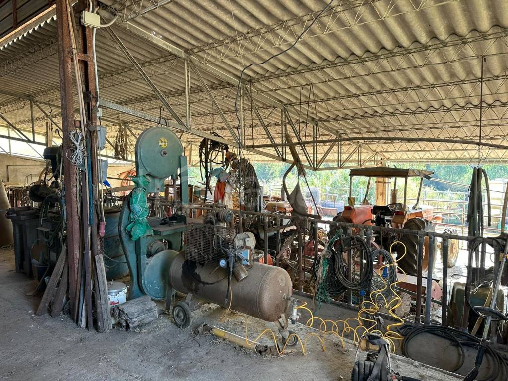 immagine annuncio 4 di 10