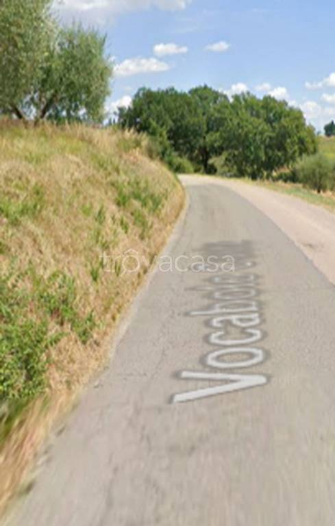 immagine annuncio 3 di 11