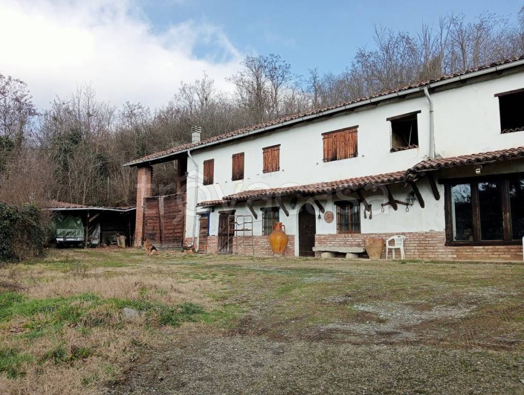 immagine annuncio 6 di 15