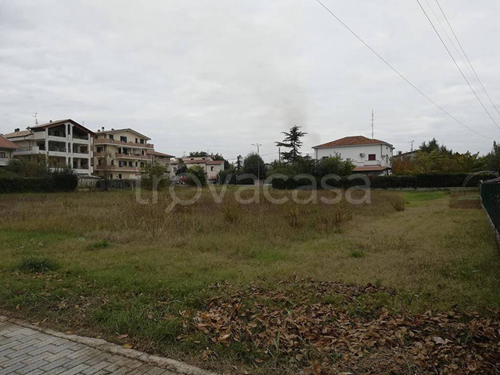 immagine annuncio 2 di 11