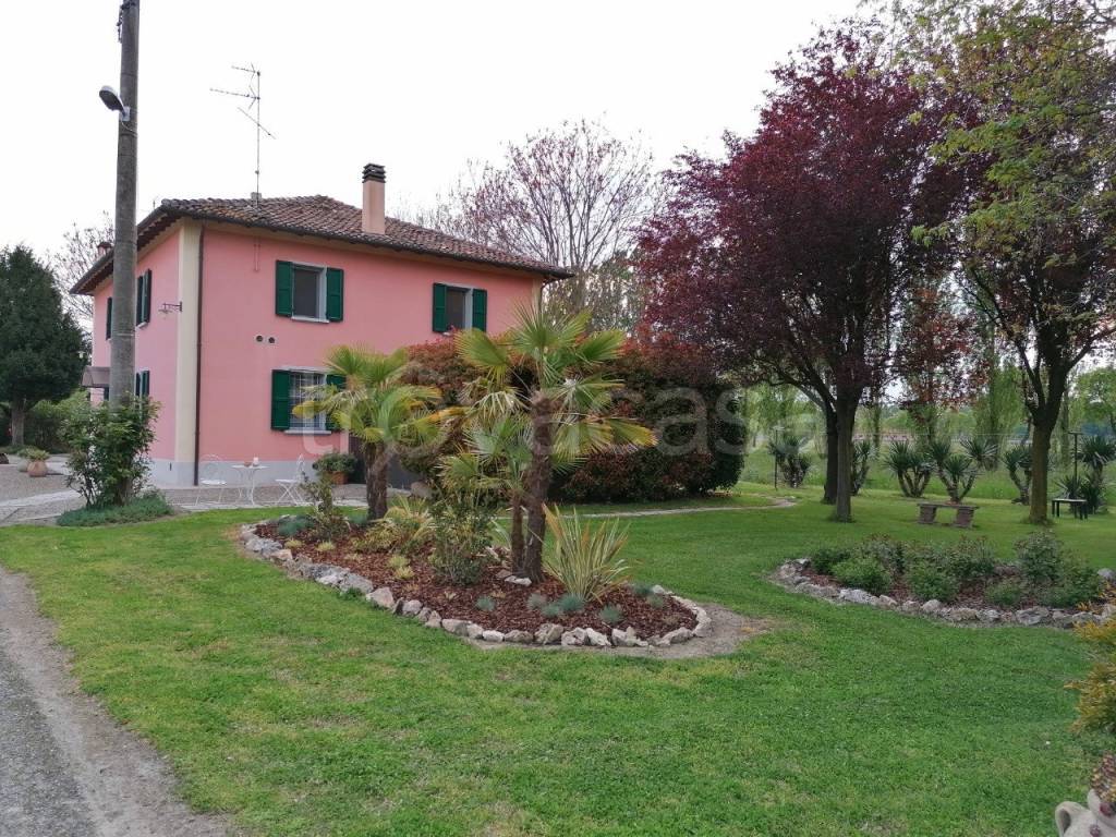 immagine annuncio 11 di 14