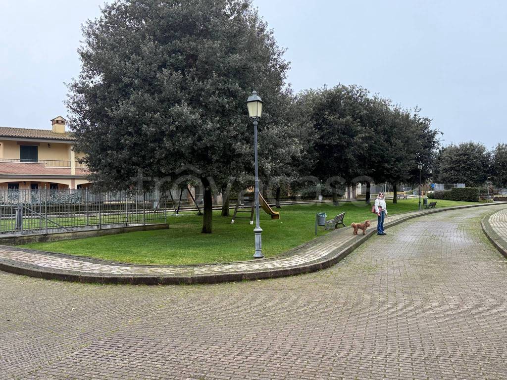 immagine annuncio 11 di 15